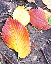 Similar image 815060