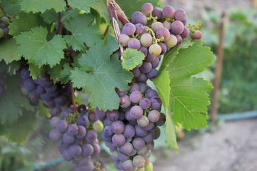 Similar image 815065