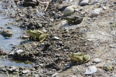 Similar image 815074