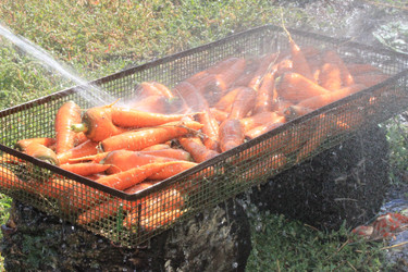 Similar image 815077