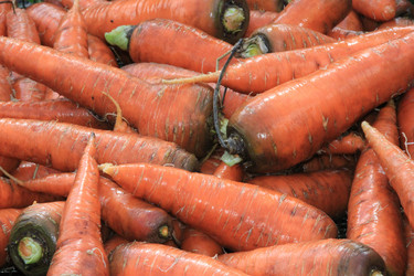 Similar image 815079