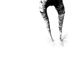 Similar image 815086