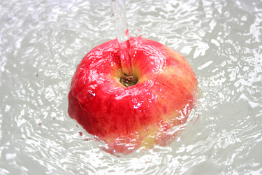 Similar image 815097