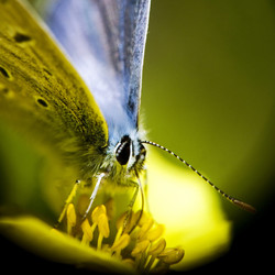 Similar image 815141