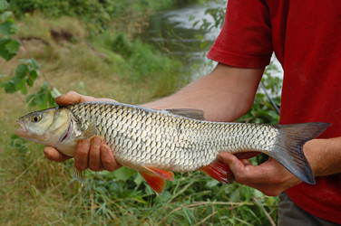 Similar image 815180