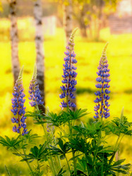 Similar image 815247