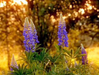 Similar image 815250