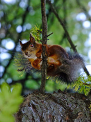 Similar image 815265