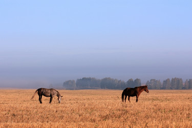 Similar image 815280