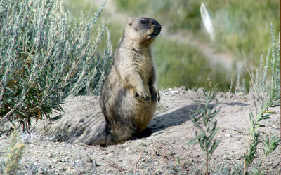 Similar image 815290