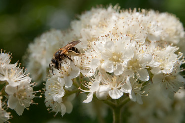 Similar image 815293