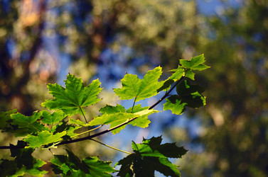 Similar image 815324