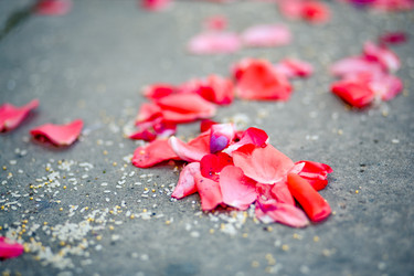 Similar image 815355