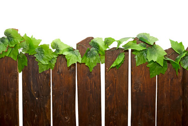 Similar image 815359