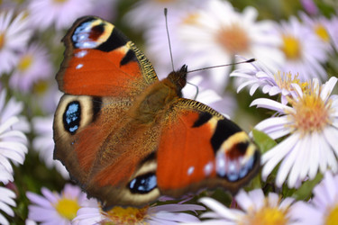 Similar image 815379