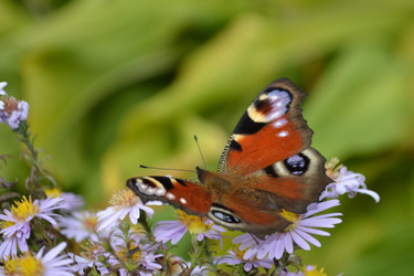 Similar image 815380