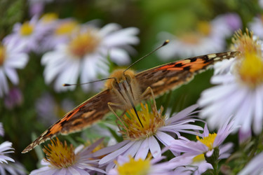 Similar image 815381