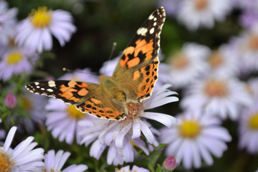 Similar image 815383