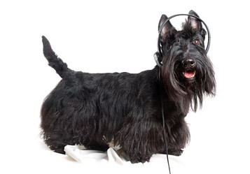 Similar image 815409