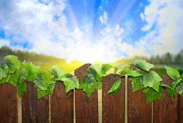 Similar image 815420