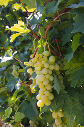 Similar image 815502