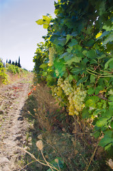 Similar image 815504