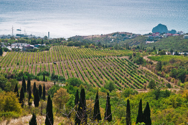 Similar image 815521