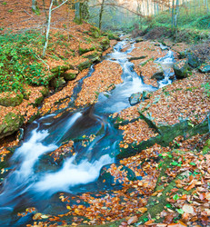 Similar image 815569