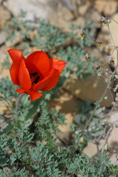 Similar image 815575