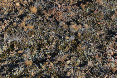 Similar image 815579