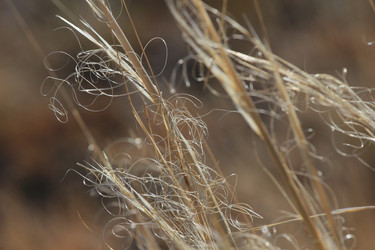 Similar image 815580