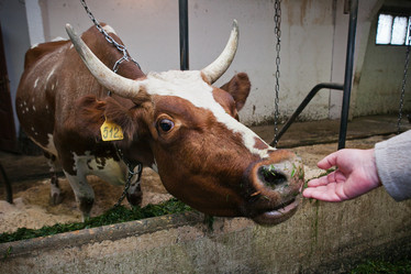 Similar image 815583