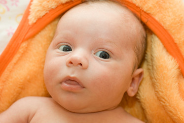 Similar image 815759