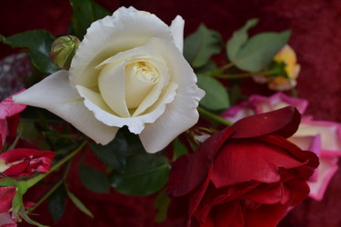 Similar image 815823