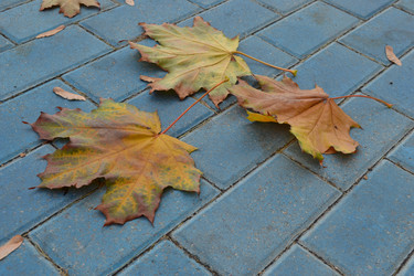 Similar image 815832