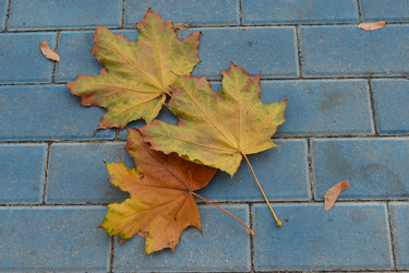 Similar image 815836