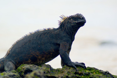 Similar image 815841