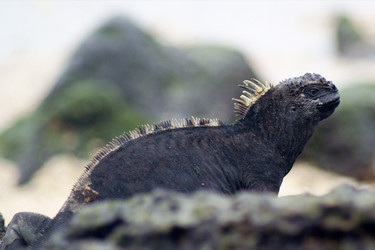 Similar image 815842