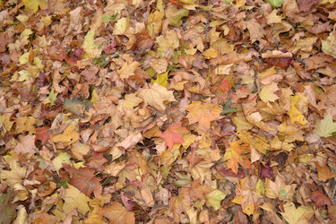 Similar image 815849