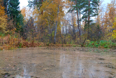 Similar image 815893