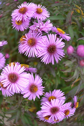 Similar image 815900