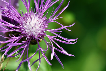 Similar image 815904