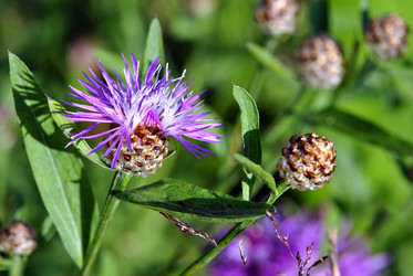 Similar image 815907