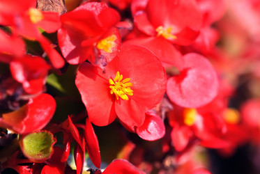 Similar image 815915