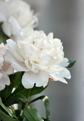 Similar image 815919