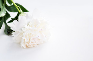 Similar image 815921