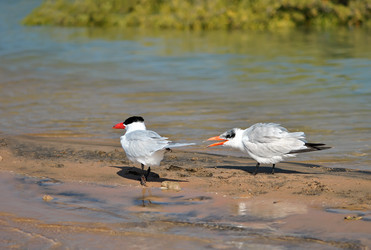 Similar image 815927