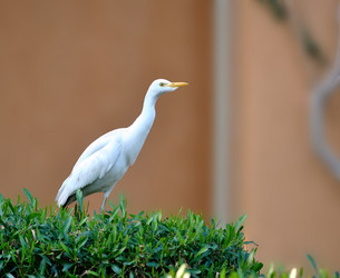 Similar image 815932