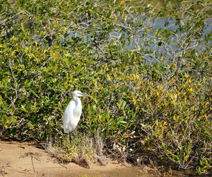 Similar image 815934