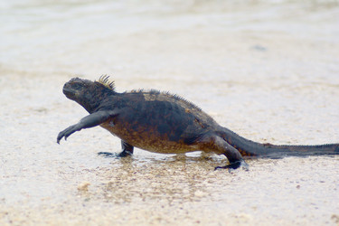 Similar image 815935